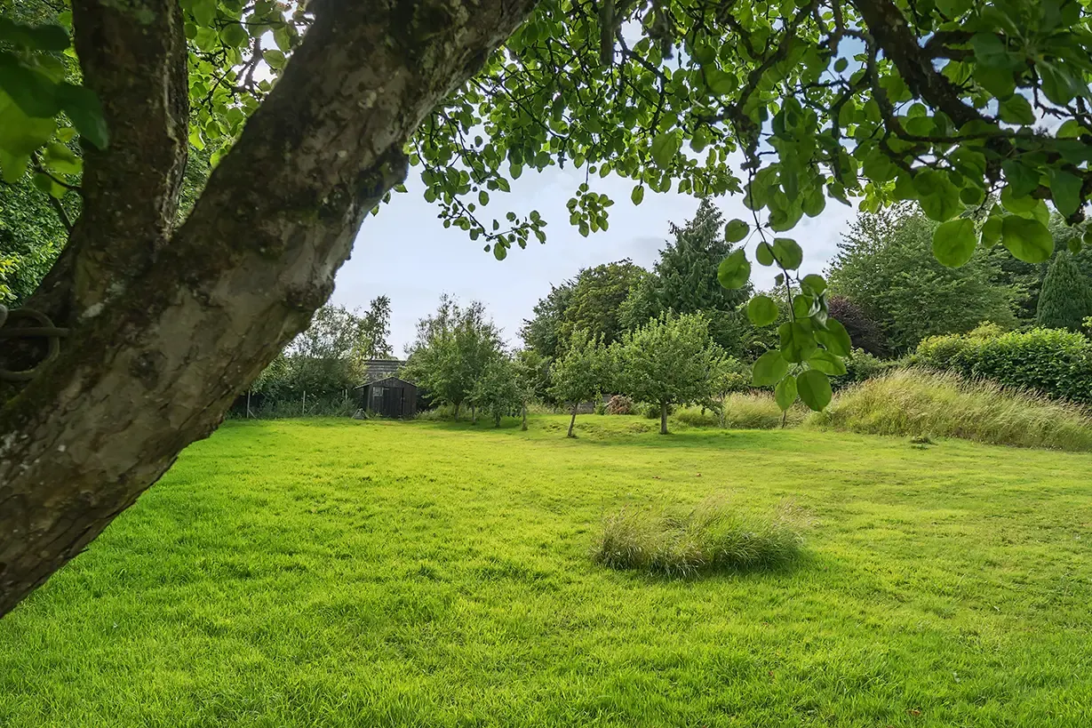 The Lakehayes grounds